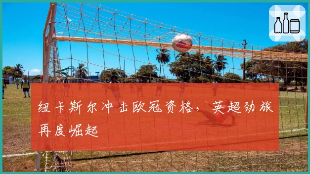 纽卡斯尔冲击欧冠资格，英超劲旅再度崛起