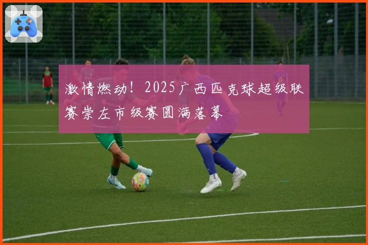 激情燃动！2025广西匹克球超级联赛崇左市级赛圆满落幕