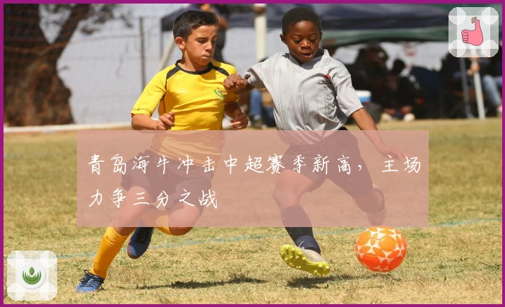 青岛海牛冲击中超赛季新高，主场力争三分之战