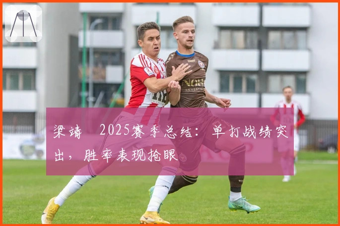 梁靖崑2025赛季总结：单打战绩突出，胜率表现抢眼