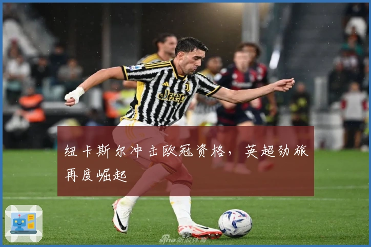 纽卡斯尔冲击欧冠资格，英超劲旅再度崛起